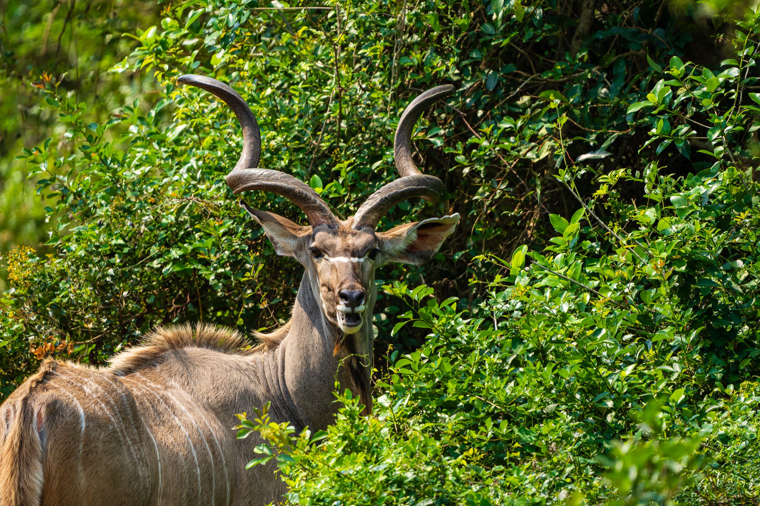 20230923 130331 Fotobuch Südafrika 03803